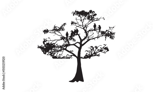  tree silhouette vector on white background