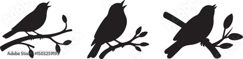 Bird Singing Branch icon