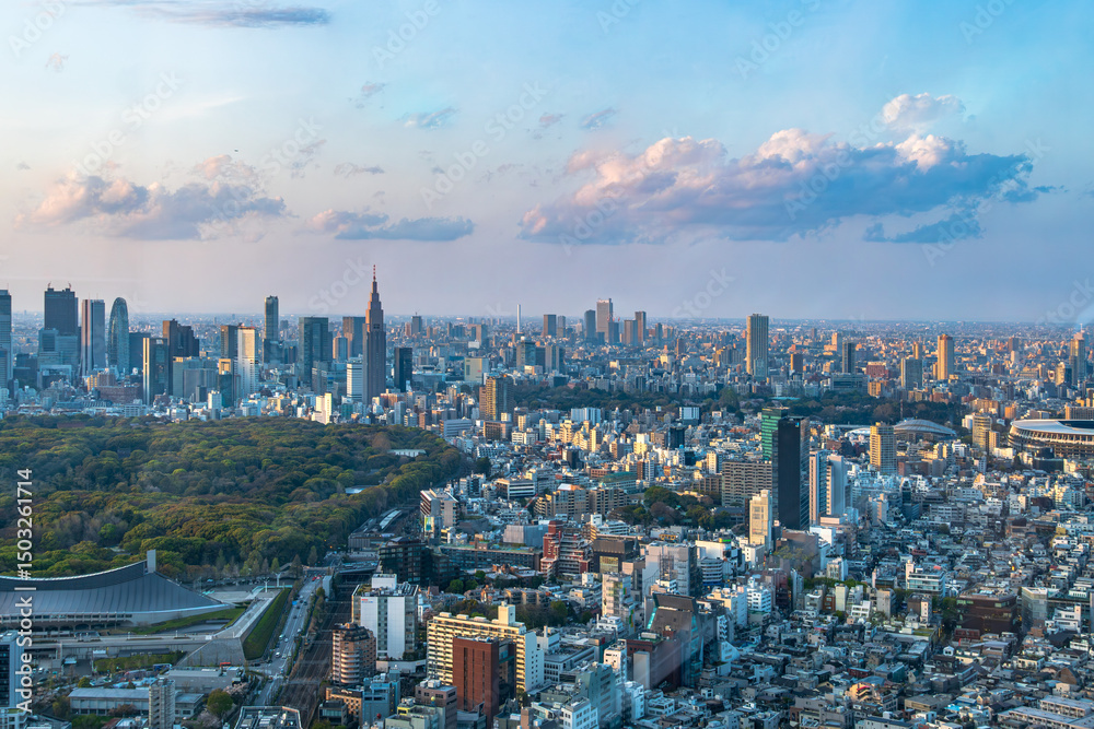 Fototapeta premium IMMIGRANT SKY: A Billion Dreams Framed in Steel