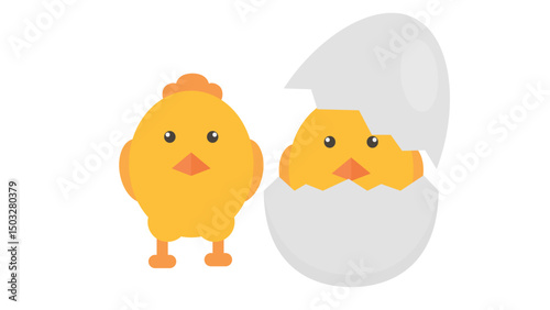 chicken and eggs
