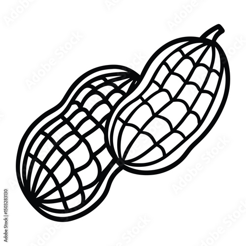 Two ripe peanuts in shell isolated on white background showing delicious red peanut kernels  food vector