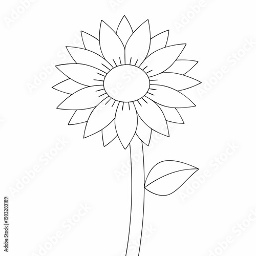 Sunflower simple and minimal line art illustration on white background