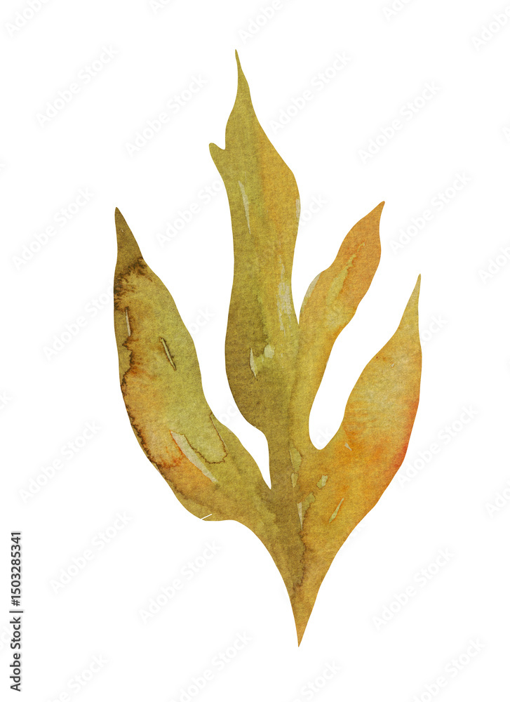Fototapeta premium Watercolor peony leaf illustration | Hand painted transparent PNG botanical element for logo design, wedding invitation, branding, stationery, eco packaging, natural product identity
