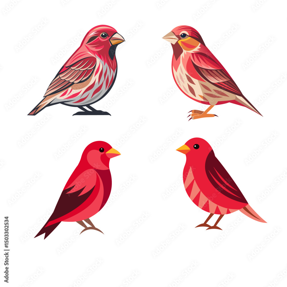 Fototapeta premium set of birds