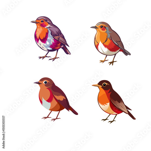 set of robin