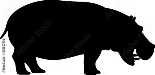 hippopotamus silhouette and line art vector illustration 