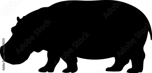 hippopotamus silhouette and line art vector illustration 