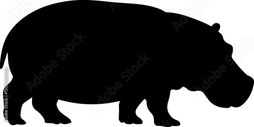 hippopotamus silhouette and line art vector illustration 