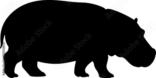 hippopotamus silhouette and line art vector illustration 
