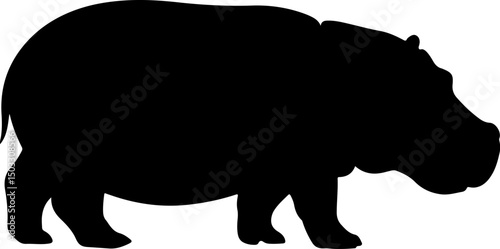hippopotamus silhouette and line art vector illustration 
