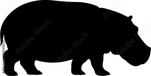 hippopotamus silhouette and line art vector illustration 