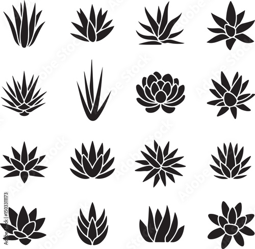 Black silhouette set of succulent plants in various styles, ideal for nature, botanical, and plant-themed designs.