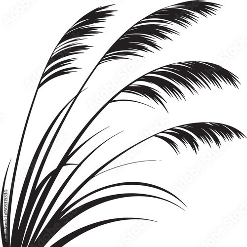 A minimalist black and white illustration of several stalks of pampas grass against a white background