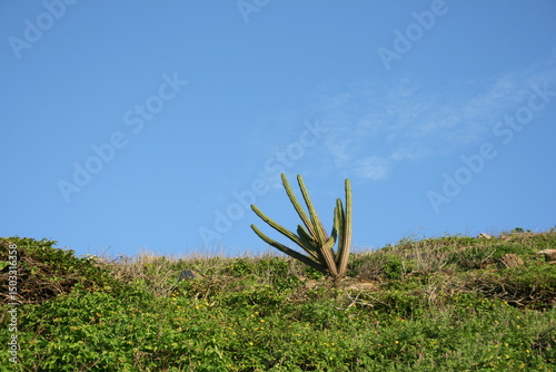 Natureza