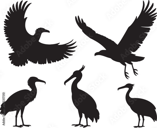 Bird silhouettes collection flying birds wading birds