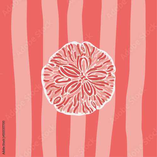 Abstract illustration of a pink sand dollar on a striped coral design, creating a modern marine-inspired aesthetic
