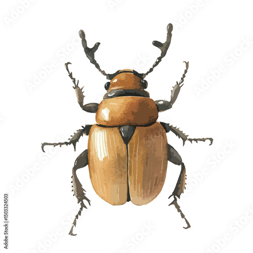 Detailed Watercolor Illustration of a Brown Beetle with Unique Antlers