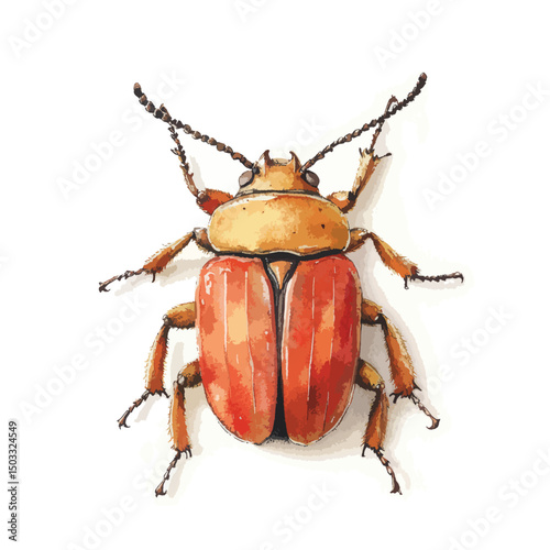 Detailed Watercolor Illustration of a Colorful Beetle