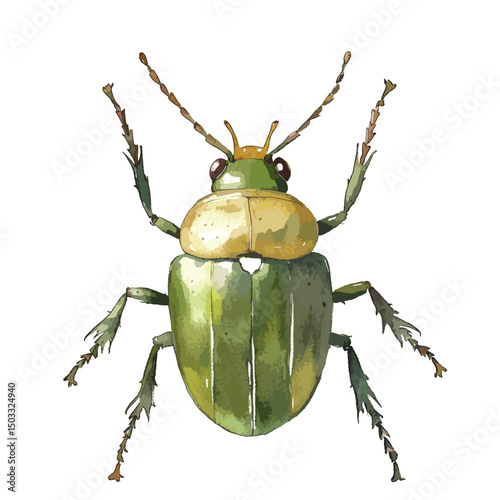 Detailed Watercolor Illustration of a Green Beetle (1)