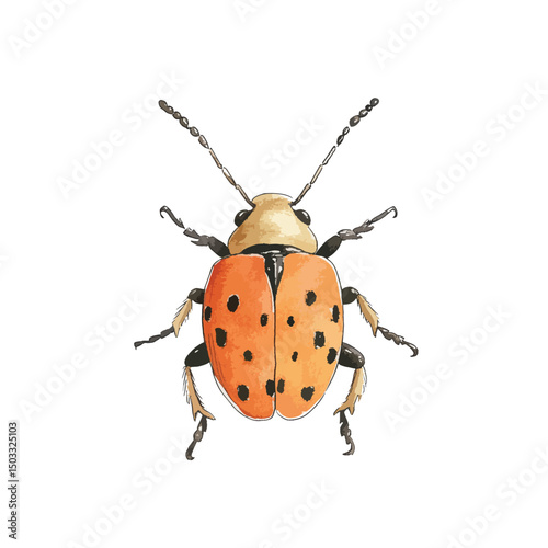Detailed Watercolor Illustration of a Ladybug with Distinctive Black Spots