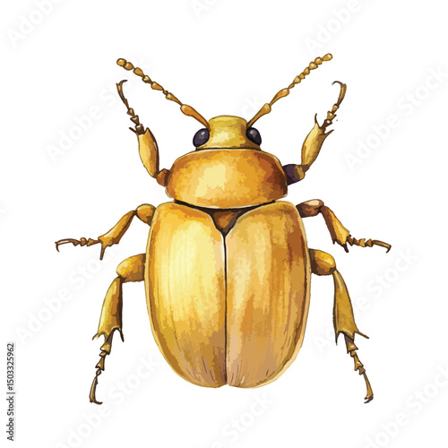 Detailed Watercolor Painting of a Golden Beetle