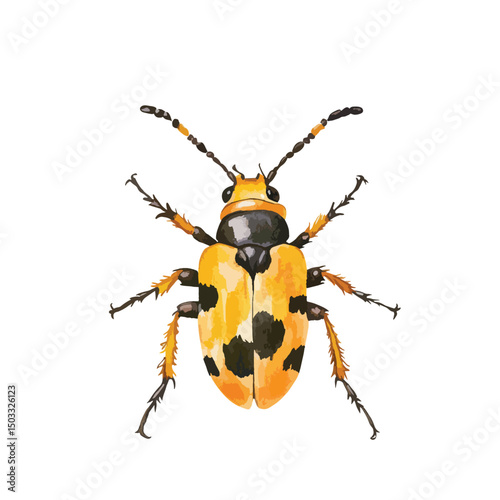 Detailed Yellow and Black Spotted Beetle with Segmented Antennae Illustration