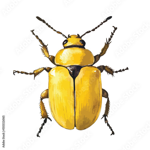 Detailed Yellow Beetle Illustration with Segmented Antennae and Spiked Legs