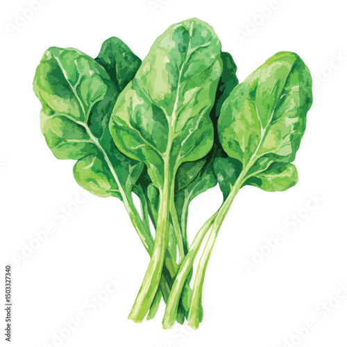 Fresh Watercolor Illustration of Vibrant Green Spinach Leaves and Stems