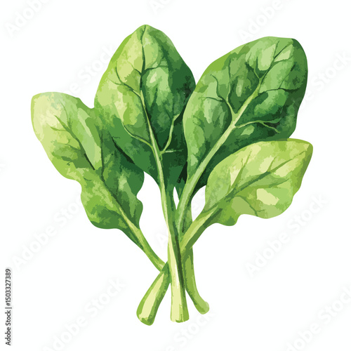 Freshly Harvested Watercolor Spinach Leaves Vibrant Green Detailed Texture