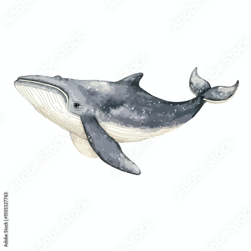 Graceful Gray Whale in Artistic Watercolor Style