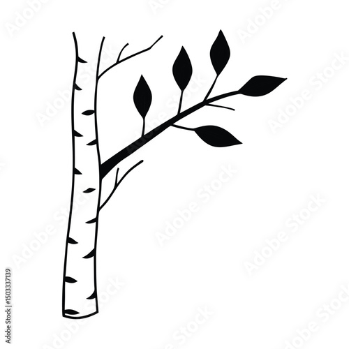 Birch Branch with Papery White Bark and Green Leaves