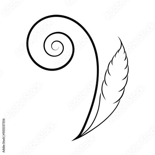 Curled Fiddlehead Fern Leaf