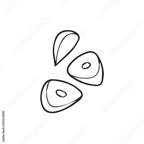 Isolated Garlic Clove  Organic Herb Vector Illustration