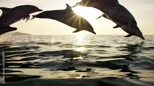 Wildlife in Natural Habitat with Cinematic Mood