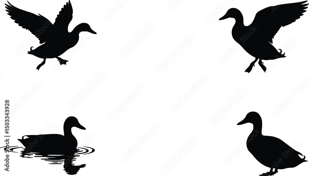 Obraz premium Duck Silhouette Illustration Vector Graphics Set of Four