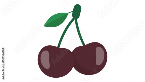 vector illustration of cherries