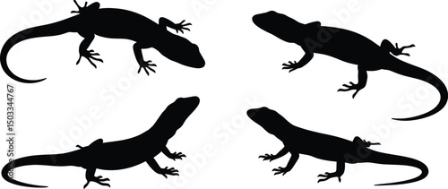 Lizard Silhouette Illustration Vector Art Set of Four Reptile Silhouettes