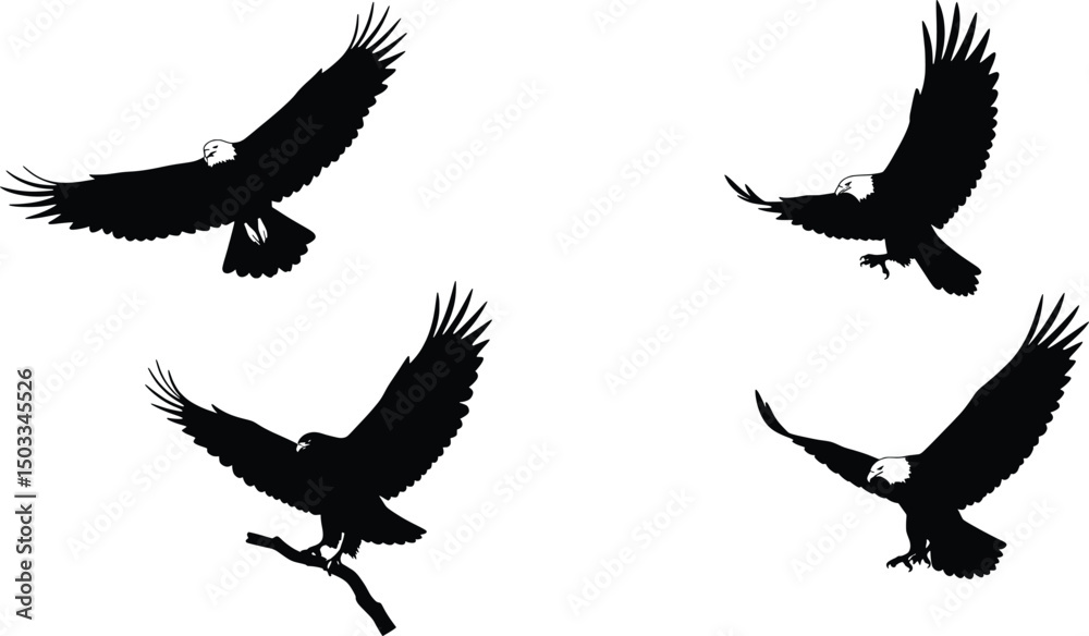 Fototapeta premium Majestic Eagle Silhouettes Vector Illustration Set