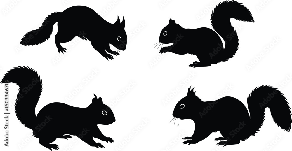 Naklejka premium Squirrel Silhouette Illustration Vector Graphics Set
