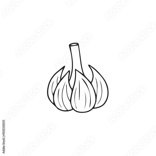 Garlic Cloves – Whole and Peeled Clove Vector Illustration
