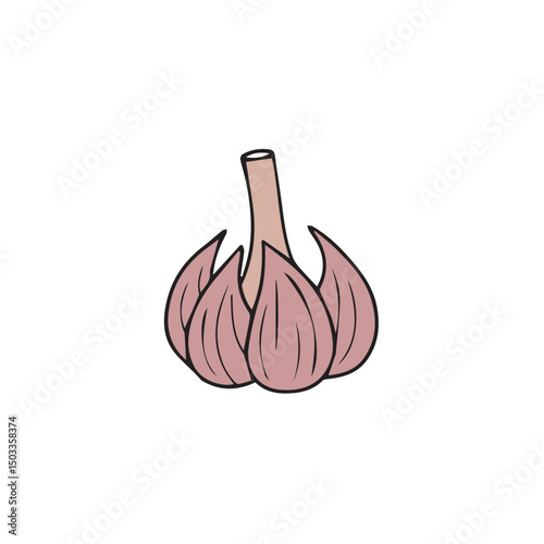 Garlic Cloves – Whole and Peeled Clove Vector Illustration