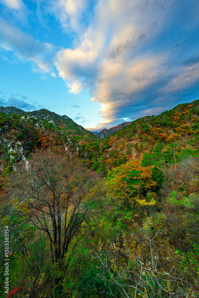 Naklejka premium 秋色に染まる金櫻山の絶景を望む山の景観 山梨県