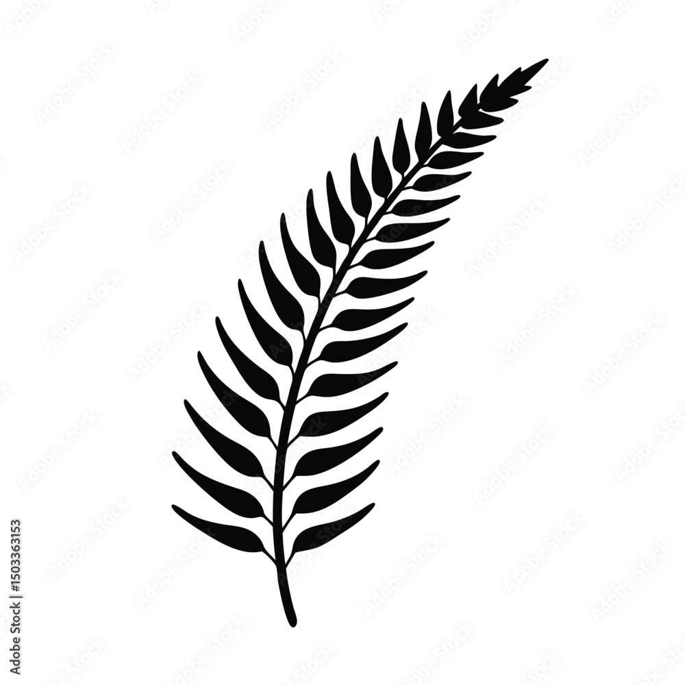 Graceful Fern Frond with Intricate Leaf Pattern Graceful Fern Frond with Intricate Leaf Pattern
