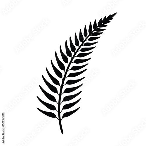 Graceful Fern Frond with Intricate Leaf Pattern