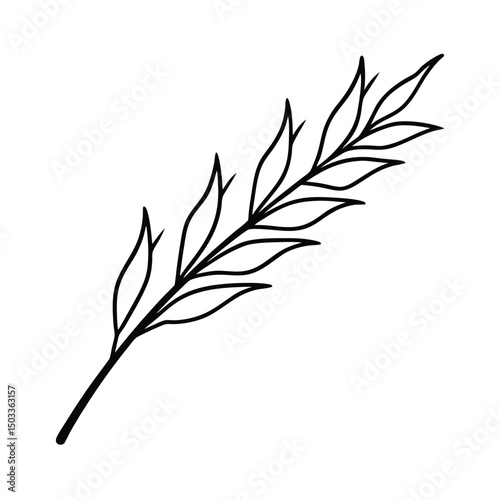 Delicate Tamarisk Branch with Feathery Leaves