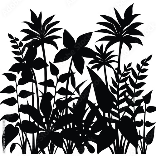 Black and white vector illustration of tropical plants and lush botanical foliage on white background