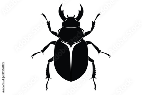 black beetle isolated on white background