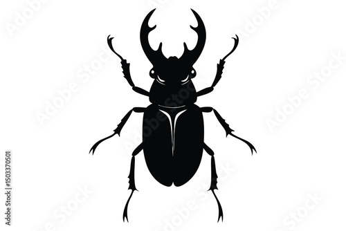 stag beetle isolated on white background