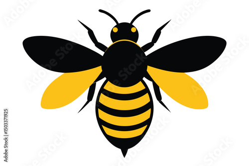 bee vector illustration