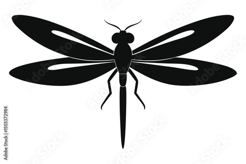 dragonfly vector illustration